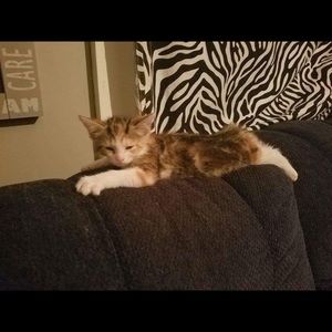 Meet your Posher, Denaye